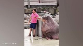 Can't Stop Laughing with ????Funny Animal and Human Videos 2023