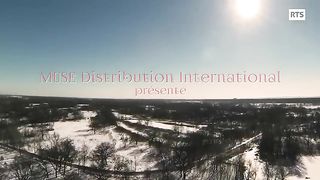 Noël, l'amour et le hasard Film de Noël