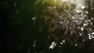 Ikan lele memang hidup di air, tapi air yang seperti apa yang di inginkan oleh ikan lele, itulah yang harus kita cari tau