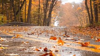 Nature 171