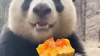 I like to watch you eat when I'm in a bad mood.