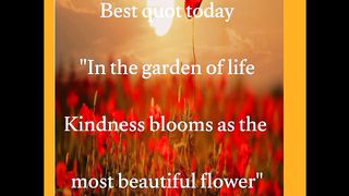 best quotes