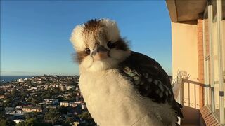 Are you seriously Filming me?