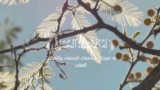 Surah Al Hashr