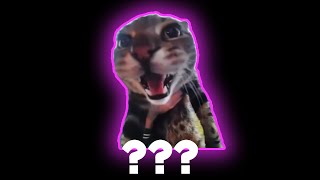 maw sound variations