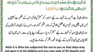 اسلامی معلومات 774