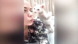 Funniest Animals 2023 ???? New Funny Cats and Dogs ???????? 2