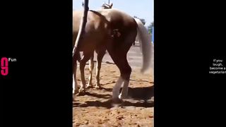 TRY NOT TO LAUGH ???? Best Funny Videos Compilation ???????? 3