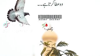 Hazrat Ali quotes in Urdu 105