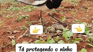 Verdadeiro significado de ser mãe