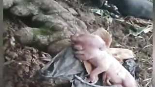 Amazing human-like piglets in West Manggarai, Jakarta