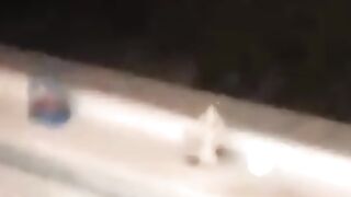 Funny Cat ???? ???? Complications #Cute Pites ???????? Part 14