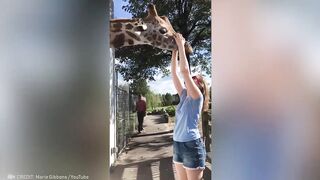These Animals Don't Forget Their Owners After Years | Animal Reunion #3