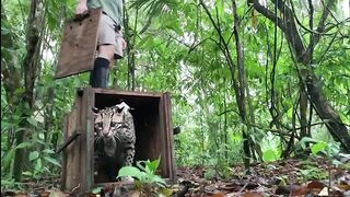 Animals Being Freed For The First Time EVER!