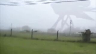Top 10 Creepiest Creatures Caught on camera