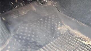 Limpeza de carro - Satisfactory cleaning