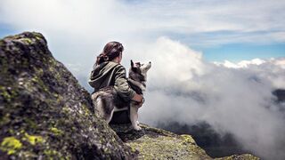 Oh, that's great, playing with the funny, beautiful dog.