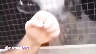 Memes engraçado parte 1