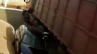 Esse tem as manhas não