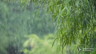 relaxation music rain