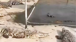 Quando você está de dieta e tem amigos que te apoiam