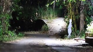 Ghost prank Time...????????????????????