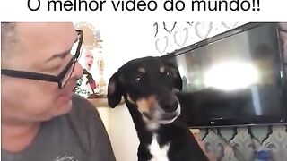 o melhor vídeo do mundo!!