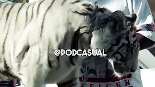 HOW MIKE TYSON GOT HIS TIGER