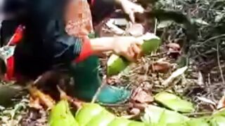 Ada Yang Tahu ini buah apa ????