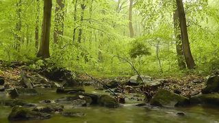 Nature Love