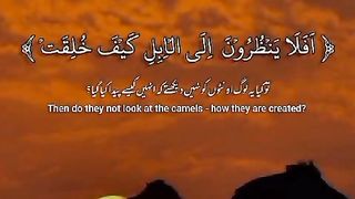 تلاوت قرآن جس سے دل مطمٸن ہوجاتا ہے 2