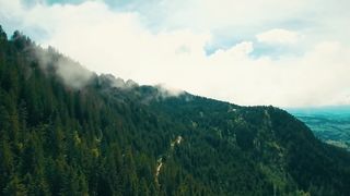 Nature's Symphony: Relaxation Music with Forests, Birdsong, River, and Rain Sounds #riversounds