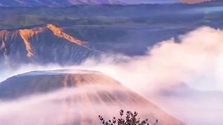 Natural video 123