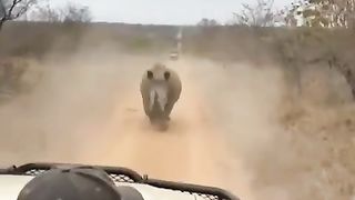 The camera man understood the assignment!!