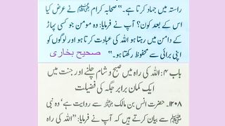 اسلامی معلومات 784