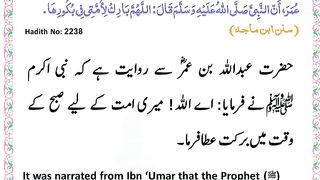 اسلامی معلومات 788