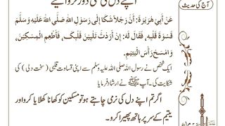 اسلامی معلومات 789