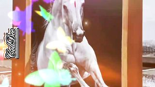 THE HORSE | SPLASH ART PAINTING