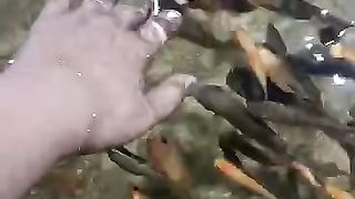 fish therapy #therapy