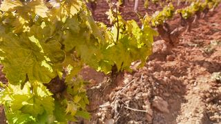 Spain : a visual Journey