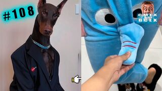 ПРИКОЛЫ-2023-СМЕШНЫЕ-ВИДЕО-ЧУДИКИ-ИЗ-ТИК_23.