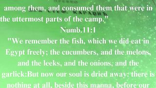 The Gospel according to John 25