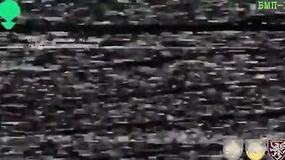 Ukraine Conflict | Joint Operation: AFU 80th Air Assault Brigade and 92nd Mechanized Briga | RCF