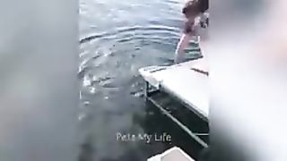 Funniest Cats and Dogs Videos
