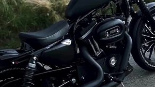 Harley