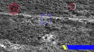 Ukraine Russia War | 123rd Brigade Strikes Ukrainian AF Infantry | FPV Drone Assault | Ber | RCF