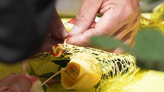 Spectacular Spain : Unraveling the secrets of iberian Elegance