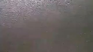 Pendederan ikan lele di kolam jaring, bibit lele cepat besar, buat jaring jangan yang kecil