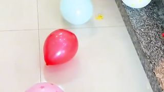 Приколи 544