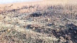 Ukraine Russia War | Density of Russian Minefields in Zaporozhye | Checkerboard Pattern | RCF